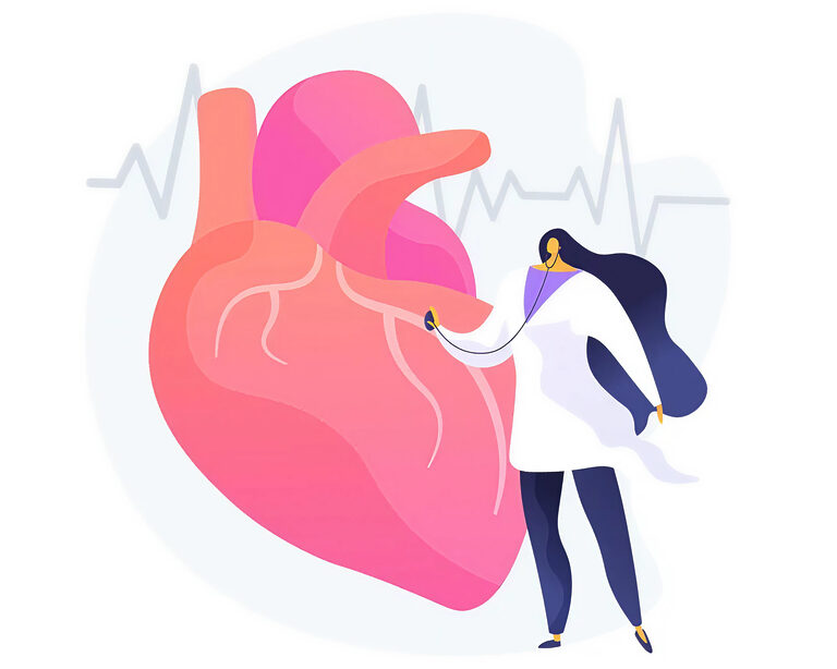 Форма сердца влияет на риск ССЗ