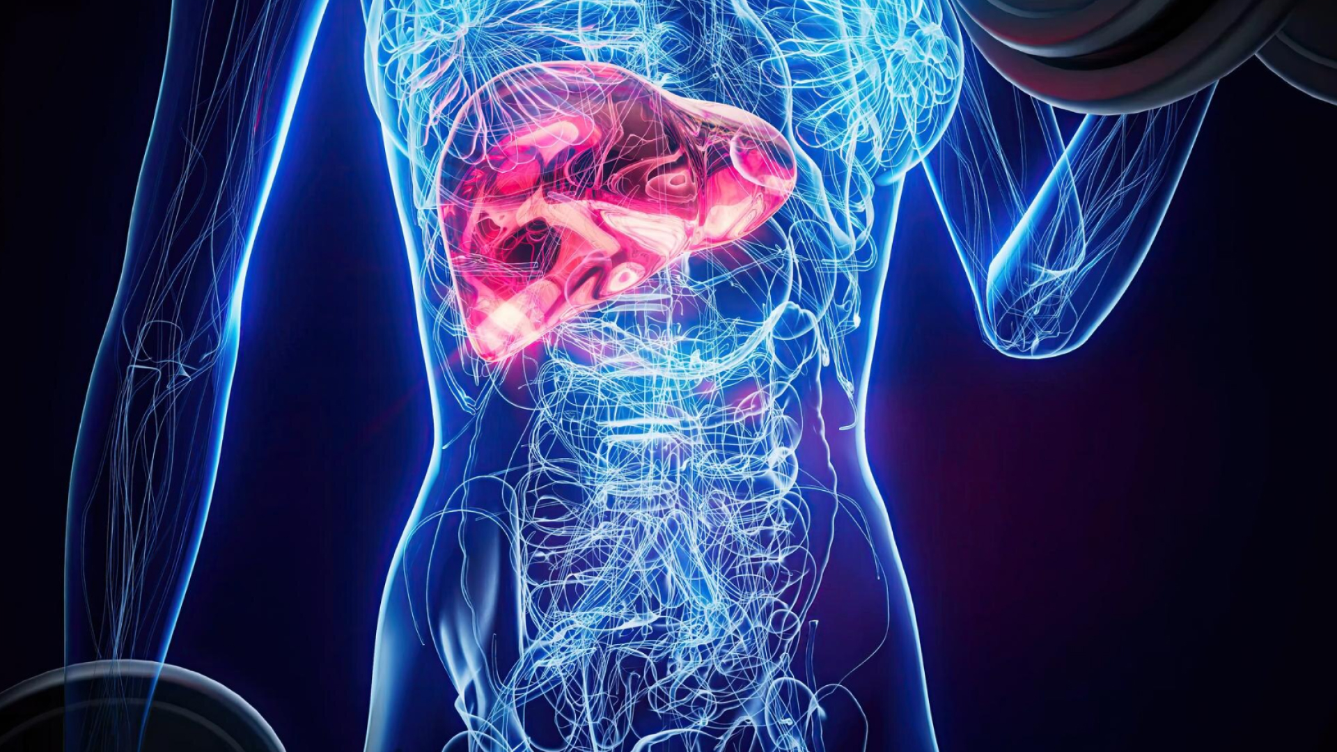 Лечение гепатита С