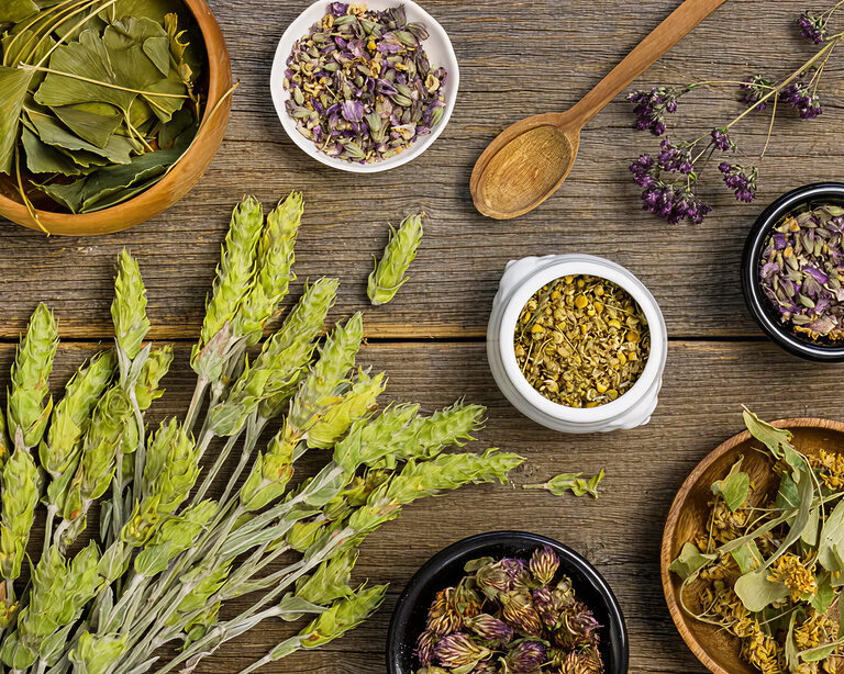 Антибактериальная революция: растения против инфекций