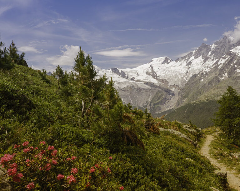 Кавказ на высоте: открытие центра горной медицины