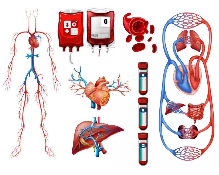 Ключ к снижению ущерба от ССЗ