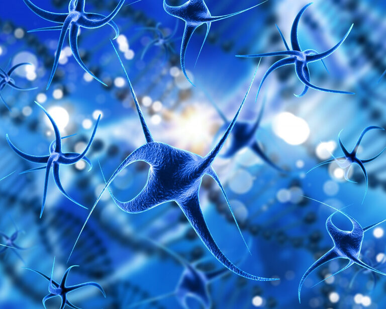 Нейробиология интеллекта