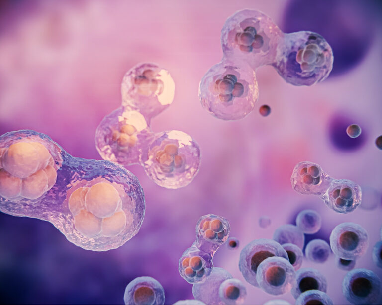 Клеточное очищение