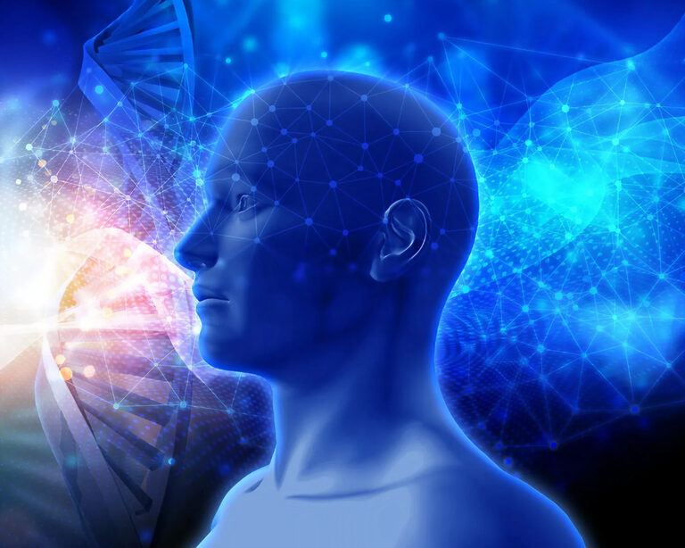 Влияние памяти на поведение