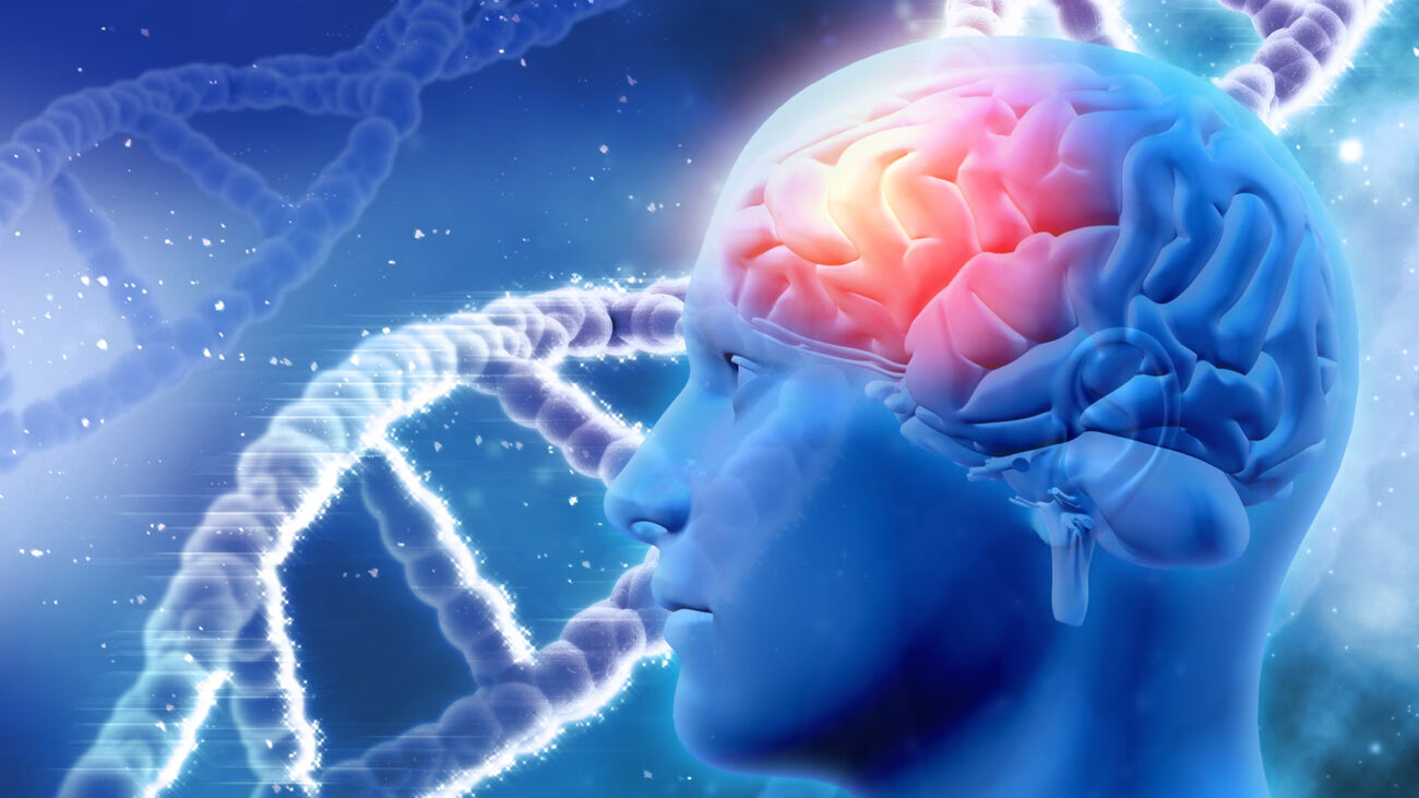 Нейробиология интеллекта