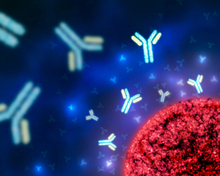 Ферменты в борьбе за здоровье