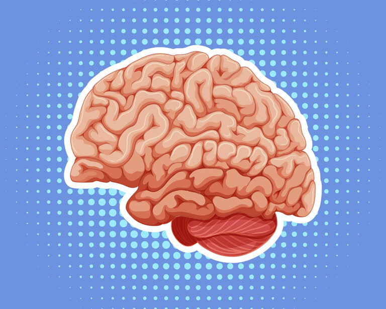 Новый взгляд на здоровье мозга