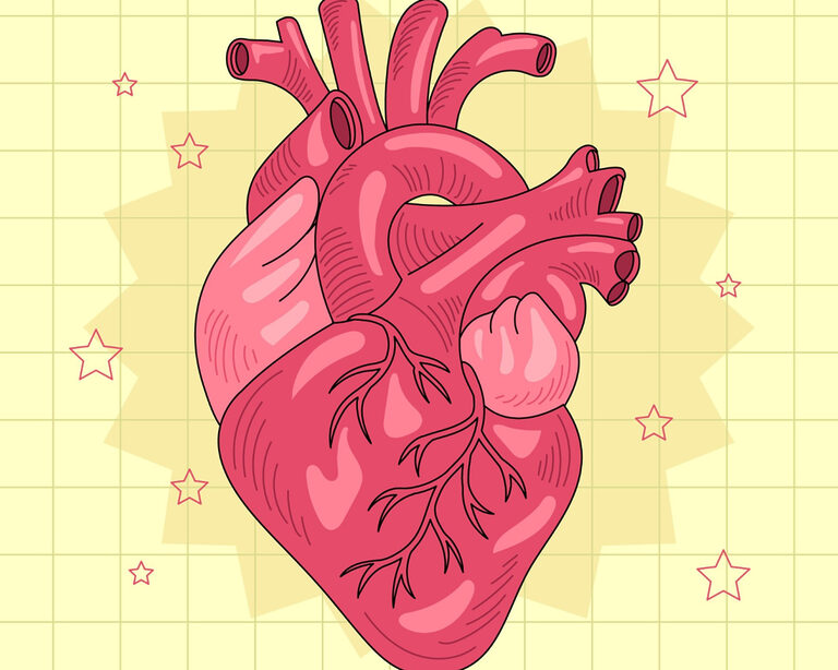 Иммунизация и здоровье сердца