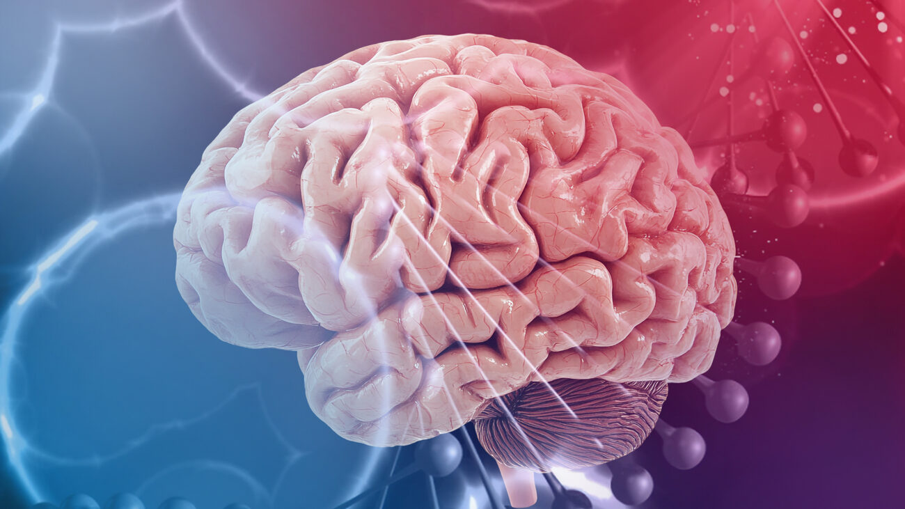 Ключ к защите мозга