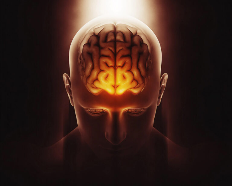 Наука о защите мозга