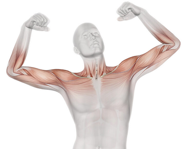 Болезнь Шарко-Мари-Тута