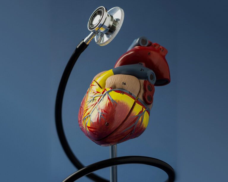 Регенерация сердечной мышцы